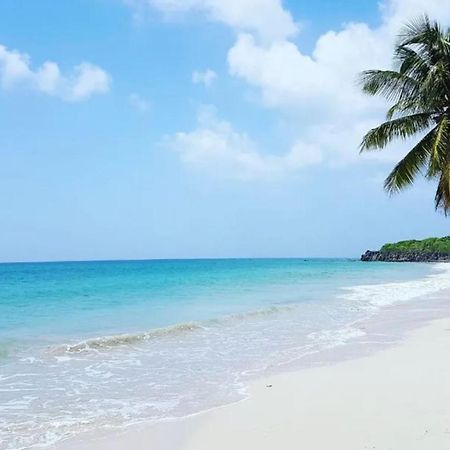 - Les Pieds Dans L'Eau A 50M De La Plage, Cote Mer Caraibe - Domaine De L'Anse Caritan - Sainte-Anne - Luaran gambar