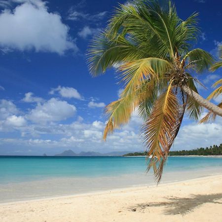 - Les Pieds Dans L'Eau A 50M De La Plage, Cote Mer Caraibe - Domaine De L'Anse Caritan - Sainte-Anne - Luaran gambar