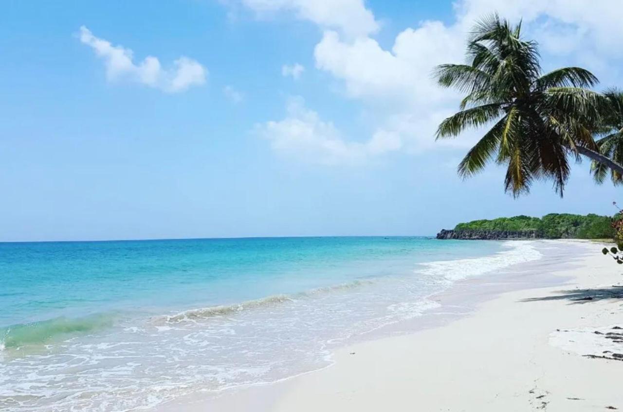 - Les Pieds Dans L'Eau A 50M De La Plage, Cote Mer Caraibe - Domaine De L'Anse Caritan - Sainte-Anne - Luaran gambar