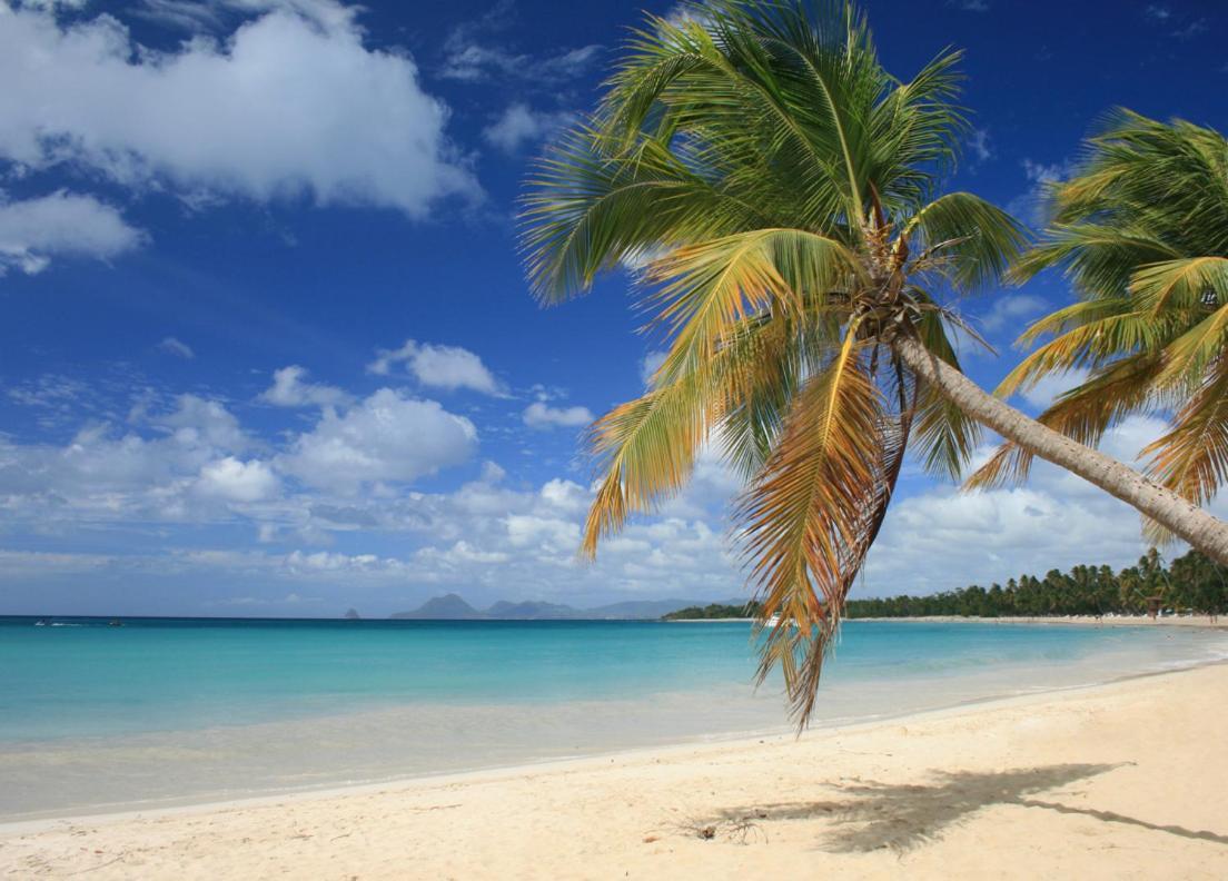 - Les Pieds Dans L'Eau A 50M De La Plage, Cote Mer Caraibe - Domaine De L'Anse Caritan - Sainte-Anne - Luaran gambar